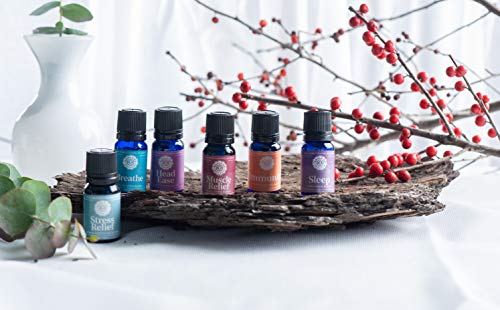  Woolzies Oil Set - Pure Aromatherapy Essential Oils : Health &  Household