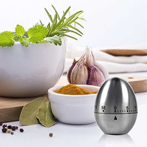 Kitchen Timer Manual, LEMEGO Stainless Steel Mechanical Rotating Visual  Countdown Egg Cooking Timer Alarm for Kitchen Baking Spo