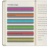 Guided Reading Strips